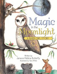 bokomslag Magic in the Moonlight