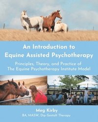 bokomslag An Introduction to Equine Assisted Psychotherapy: Principles, Theory, and Practice of the Equine Psychotherapy Institute Model