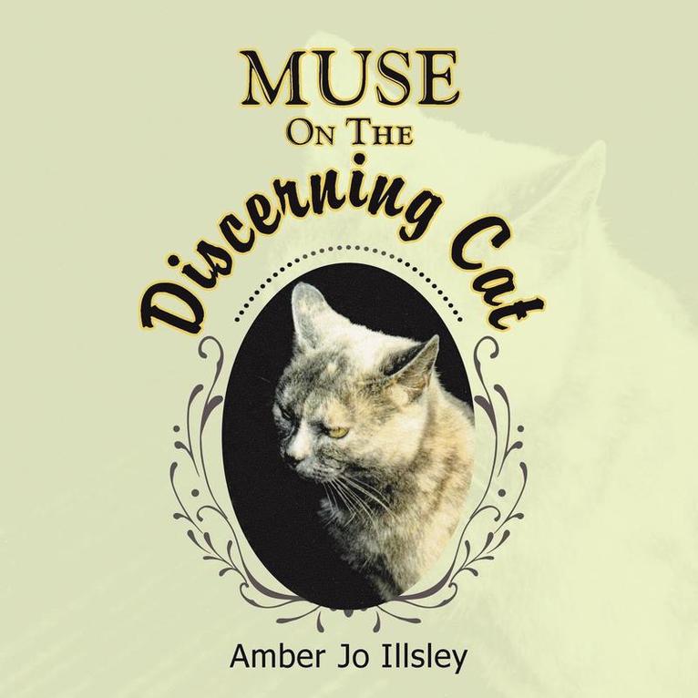Muse On The Discerning Cat 1