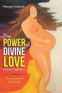 bokomslag Power of Divine Love during Pregnancy