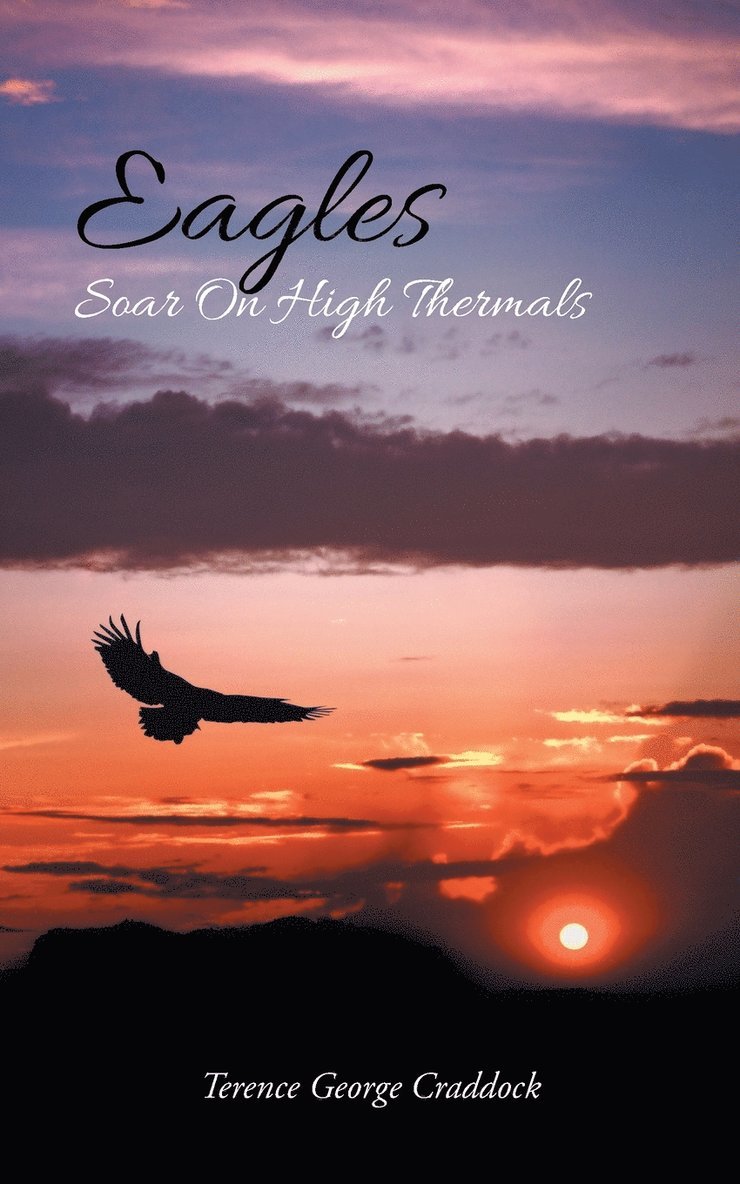 Eagles Soar On High Thermals 1