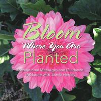 bokomslag Bloom Where You Are Planted