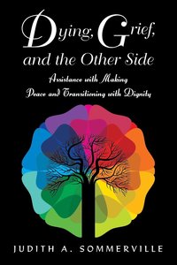 bokomslag Dying, Grief, and the Other Side