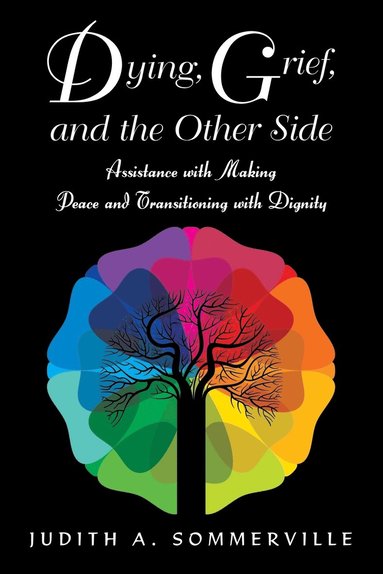 bokomslag Dying, Grief, and the Other Side