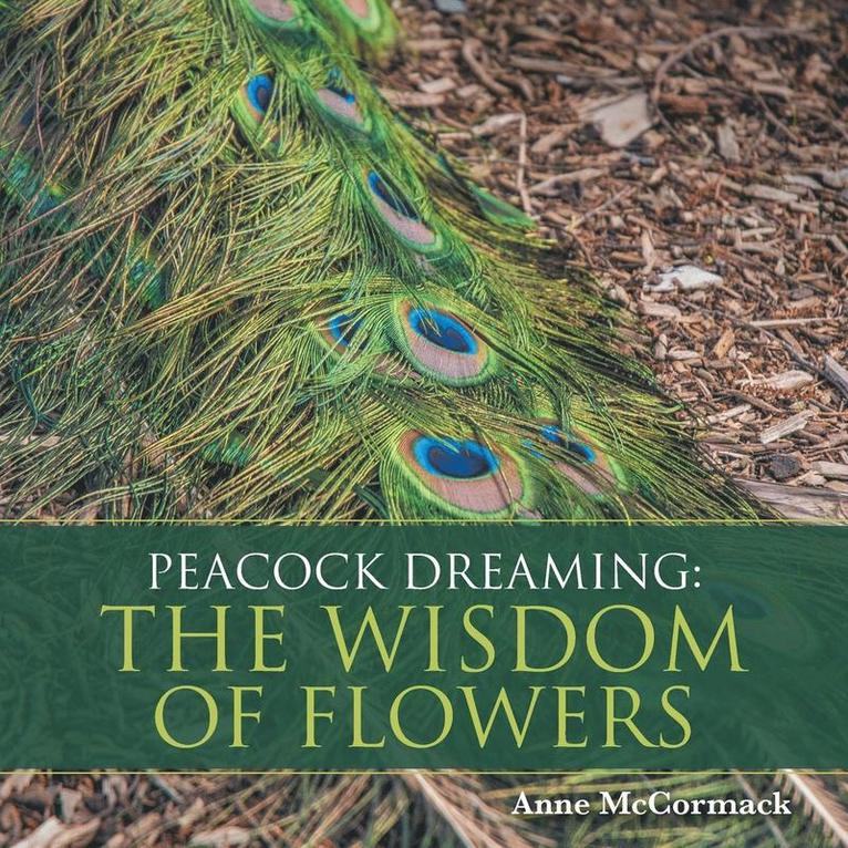 Peacock Dreaming 1