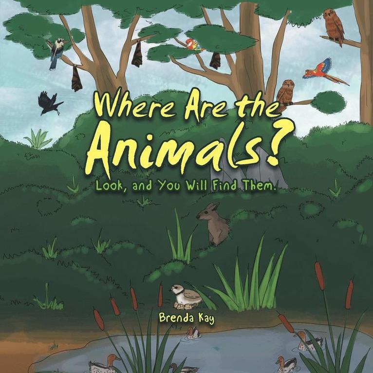 Where Are the Animals? 1