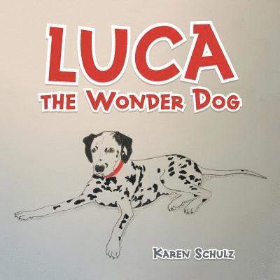 Luca the Wonder Dog 1