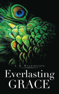 bokomslag Everlasting Grace