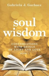 bokomslag Soul Wisdom