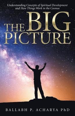 Ballabh P Acharya, Ballabh P. Acharya, Ballabh P. Acharya PhD - Big Picture, Häftad
