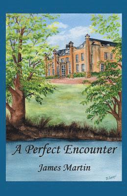 A Perfect Encounter 1