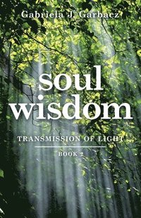 bokomslag Soul Wisdom