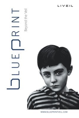 Brian Ireland - Blueprint, Häftad