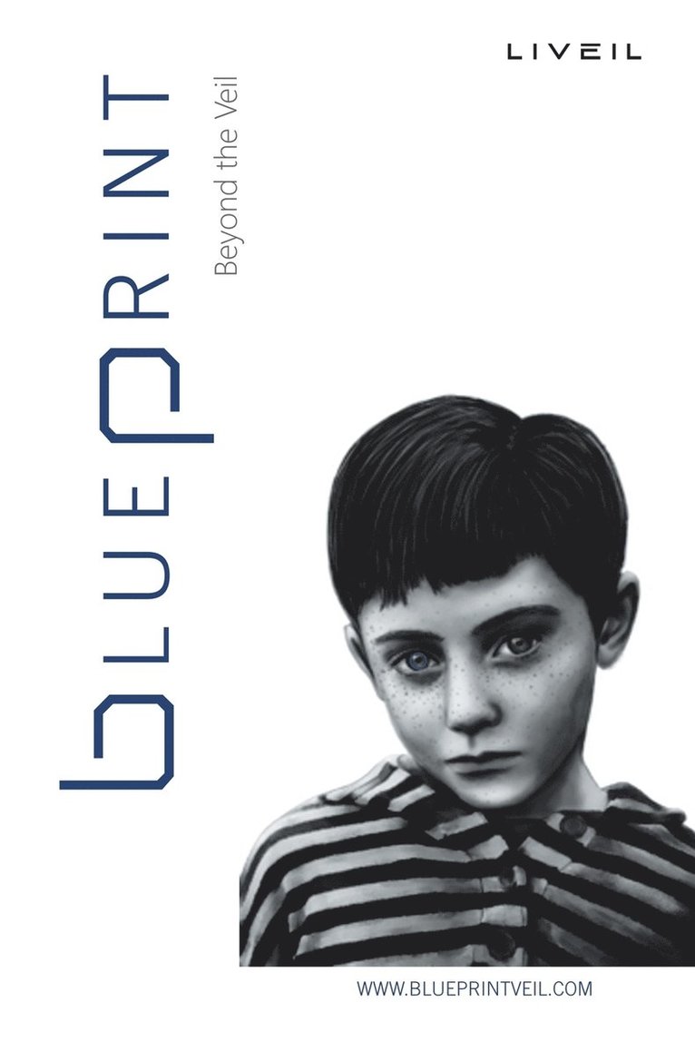 Brian Ireland - Blueprint, Häftad
