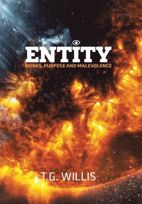 Entity 1