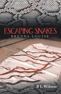 bokomslag Escaping Snakes
