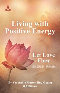 bokomslag Living with Positive Energy