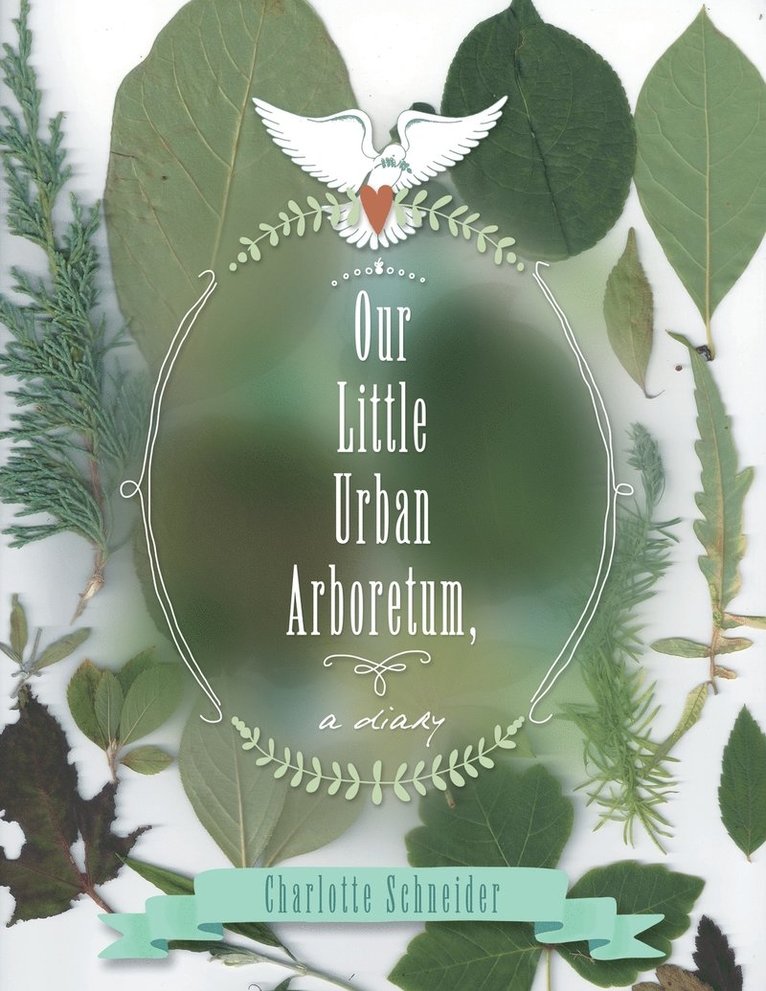 Our Little Urban Arboretum, a diary 1