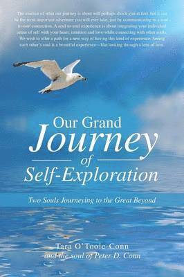 bokomslag Our Grand Journey of Self-Exploration