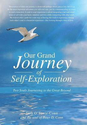 bokomslag Our Grand Journey of Self-Exploration