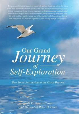 Our Grand Journey of Self-Exploration 1
