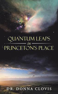 bokomslag Quantum Leaps in Princeton's Place