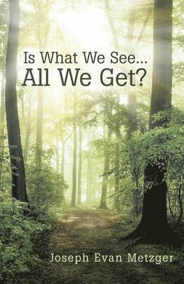 Is What We See... All We Get? 1