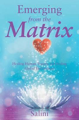 Salini, Salini, - Emerging From the Matrix, Häftad