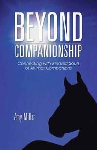 bokomslag Beyond Companionship
