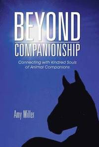 bokomslag Beyond Companionship