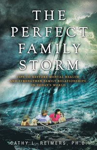 bokomslag The Perfect Family Storm