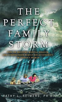 bokomslag The Perfect Family Storm