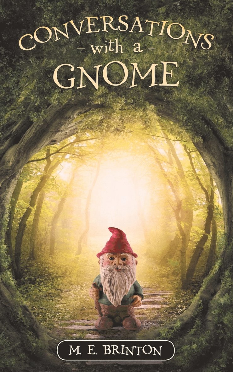 Conversations with a Gnome 1