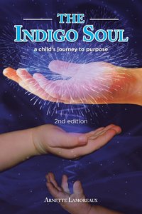 bokomslag The Indigo Soul