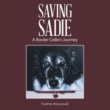 bokomslag Saving Sadie