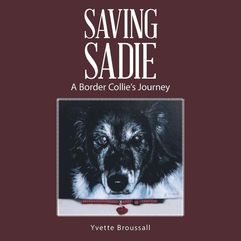 Saving Sadie 1