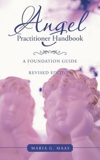 bokomslag Angel Practitioner Handbook
