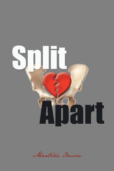 bokomslag Split Apart