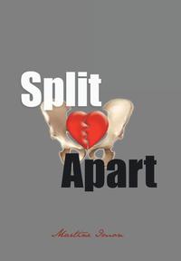 bokomslag Split Apart