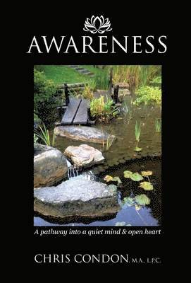 bokomslag Awareness