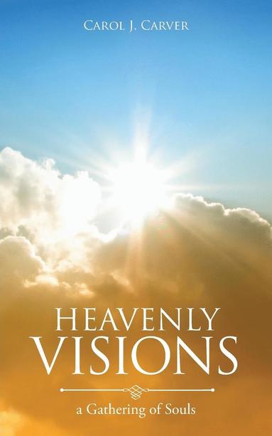 bokomslag Heavenly Visions