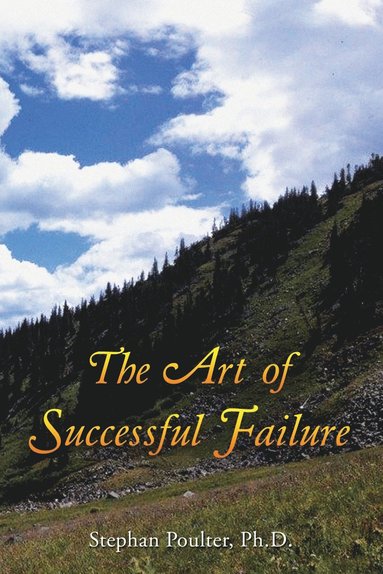 bokomslag Art of Successful Failure