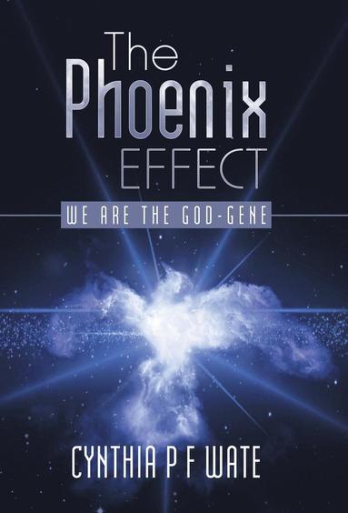 bokomslag The Phoenix Effect