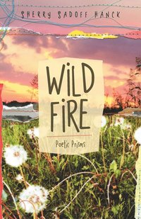 bokomslag Wild Fire