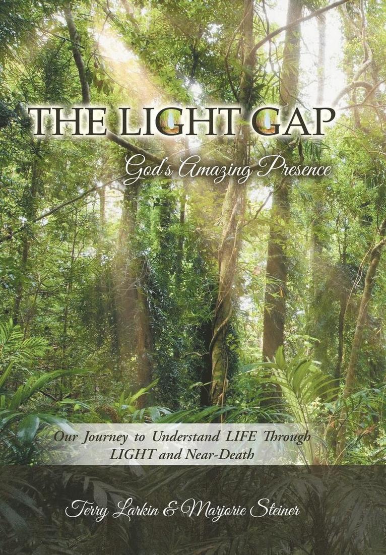 Terry Larkin, Marjorie Steiner, Terry Larkin,, Marjorie Steiner, - Light GAP, Inbunden