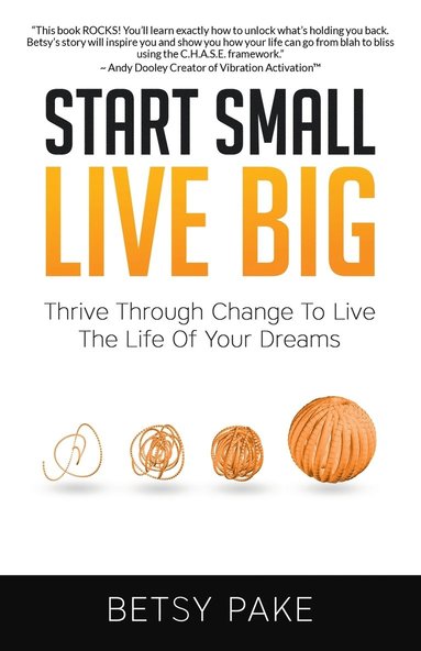 bokomslag Start Small Live Big