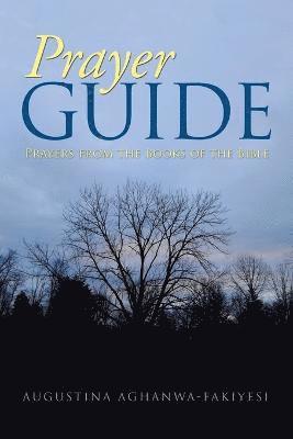 Augustina Aghanwa-Fakiyesi - Prayer Guide, Häftad