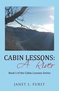 bokomslag Cabin Lessons