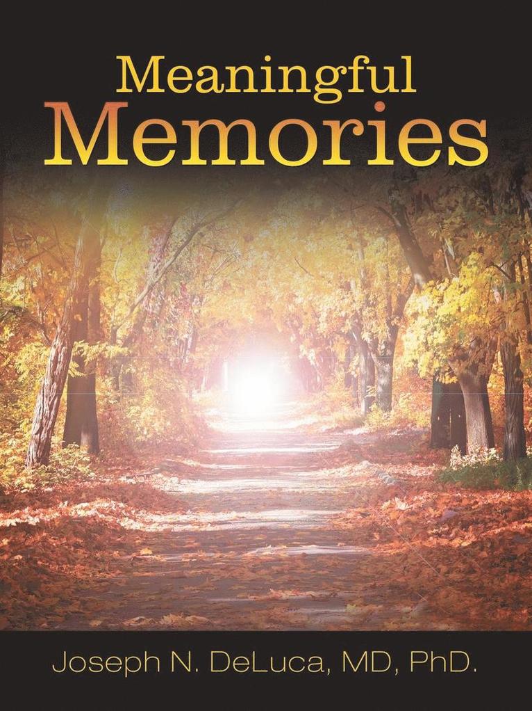 Meaningful Memories 1
