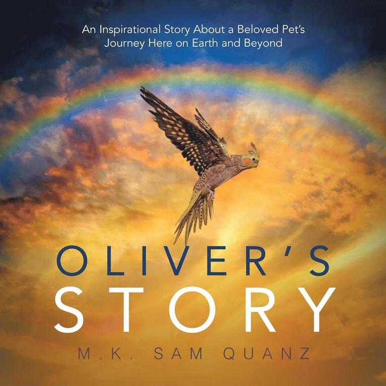 Oliver's Story 1